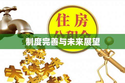 新平制度完善与未来展望