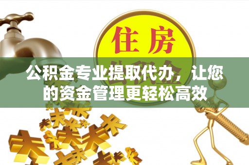 新平公积金专业提取代办，让您的资金管理更轻松高效