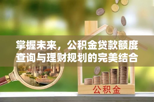新平掌握未来，公积金贷款额度查询与理财规划的完美结合