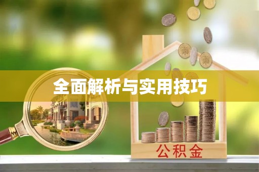 新平全面解析与实用技巧