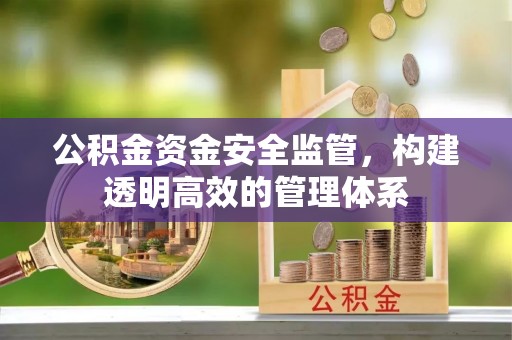 新平公积金资金安全监管，构建透明高效的管理体系