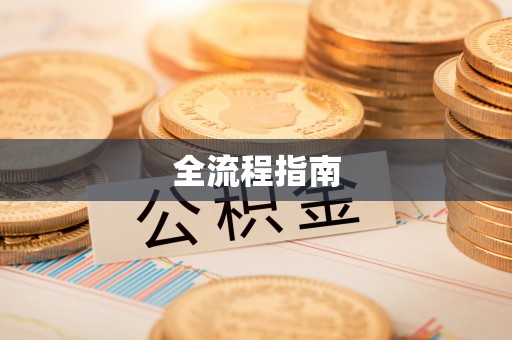 新平全流程指南