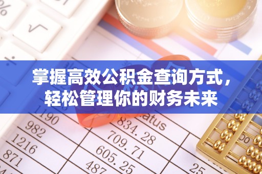 新平掌握高效公积金查询方式，轻松管理你的财务未来