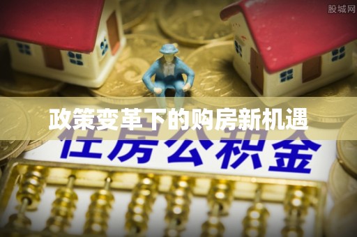 新平政策变革下的购房新机遇