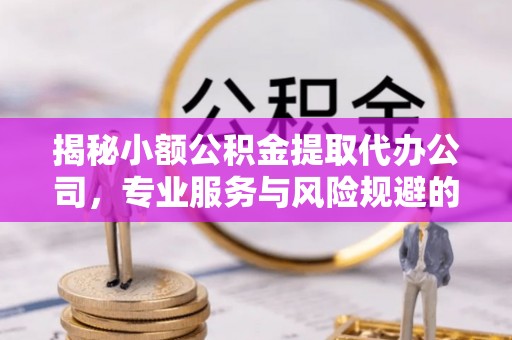 新平揭秘小额公积金提取代办公司，专业服务与风险规避的平衡艺术