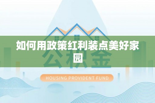 新平如何用政策红利装点美好家园