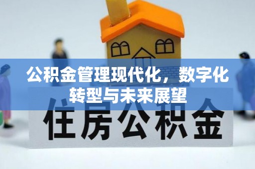 新平公积金管理现代化，数字化转型与未来展望