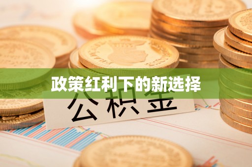 新平政策红利下的新选择