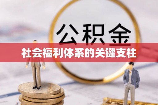 新平社会福利体系的关键支柱