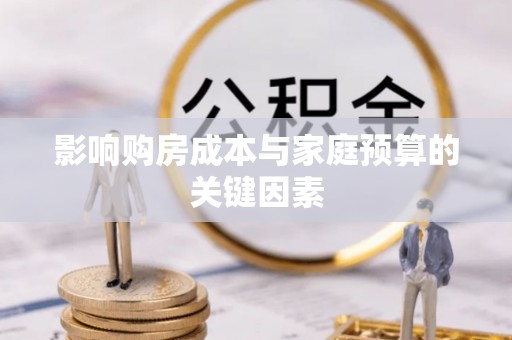 新平影响购房成本与家庭预算的关键因素
