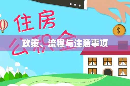 新平政策、流程与注意事项