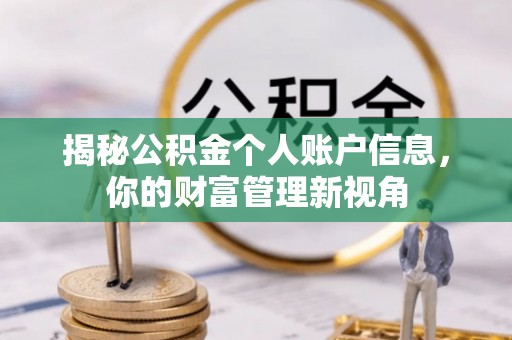新平揭秘公积金个人账户信息，你的财富管理新视角