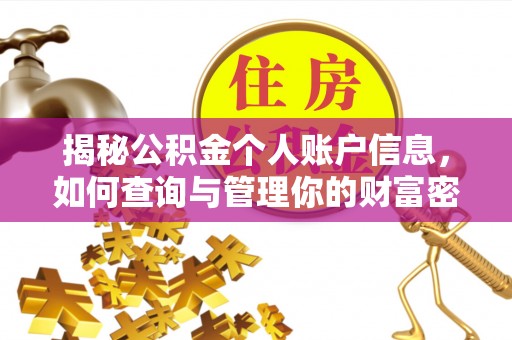 新平揭秘公积金个人账户信息，如何查询与管理你的财富密码