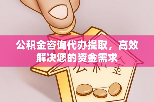 新平公积金咨询代办提取，高效解决您的资金需求