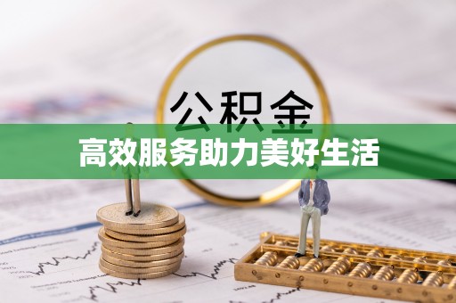 新平高效服务助力美好生活