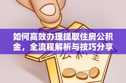 新平如何高效办理提取住房公积金，全流程解析与技巧分享