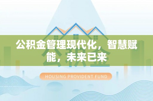 新平公积金管理现代化，智慧赋能，未来已来