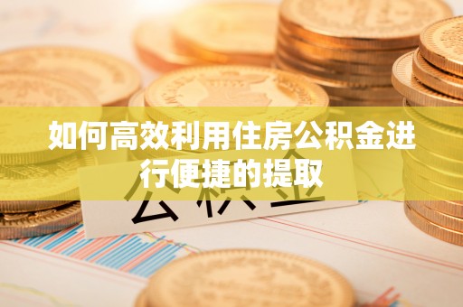 新平如何高效利用住房公积金进行便捷的提取