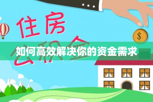 新平如何高效解决你的资金需求
