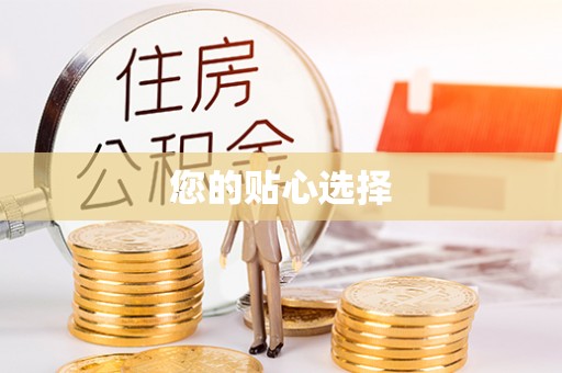 新平您的贴心选择