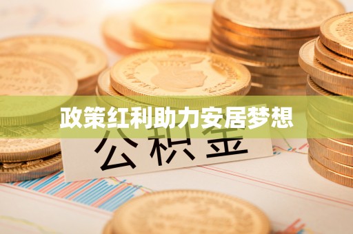 新平政策红利助力安居梦想
