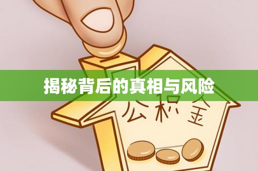 新平揭秘背后的真相与风险