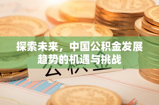 新平探索未来，中国公积金发展趋势的机遇与挑战