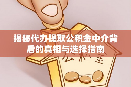 新平揭秘代办提取公积金中介背后的真相与选择指南