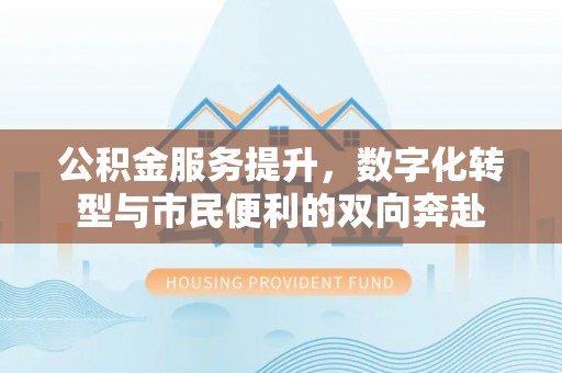 新平公积金服务提升，数字化转型与市民便利的双向奔赴