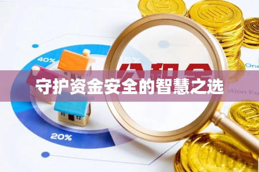 新平守护资金安全的智慧之选