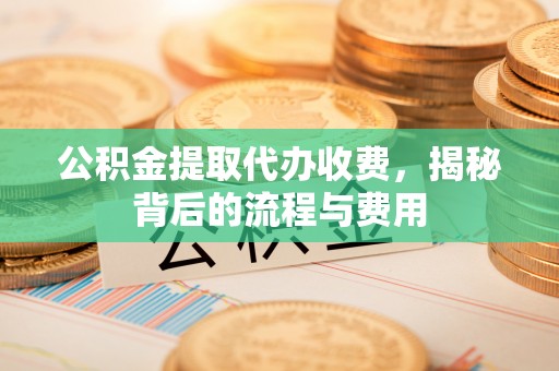 新平公积金提取代办收费，揭秘背后的流程与费用