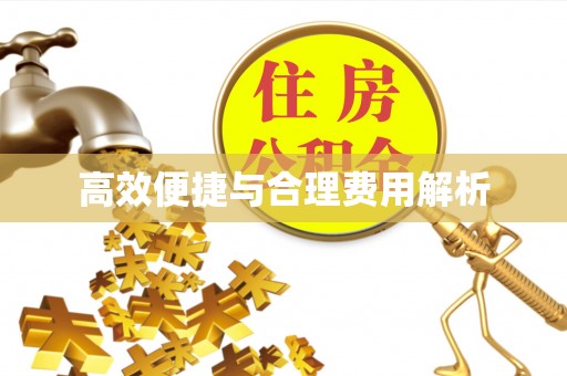 新平高效便捷与合理费用解析