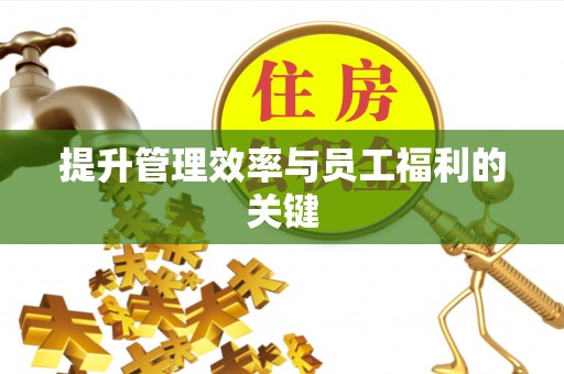 新平提升管理效率与员工福利的关键
