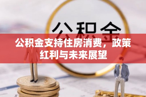 新平公积金支持住房消费，政策红利与未来展望