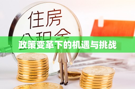 新平政策变革下的机遇与挑战