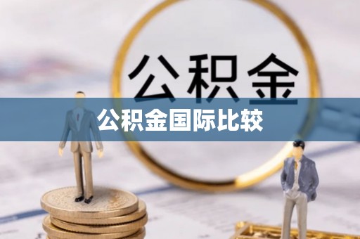 新平公积金国际比较