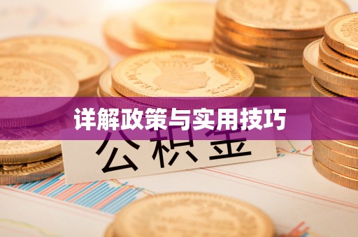 新平详解政策与实用技巧