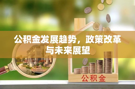新平公积金发展趋势，政策改革与未来展望