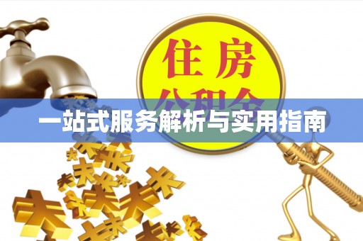 新平一站式服务解析与实用指南
