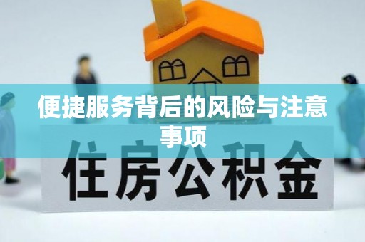 新平便捷服务背后的风险与注意事项