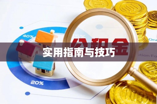 新平实用指南与技巧
