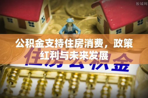 新平公积金支持住房消费，政策红利与未来发展