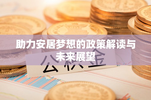 新平助力安居梦想的政策解读与未来展望