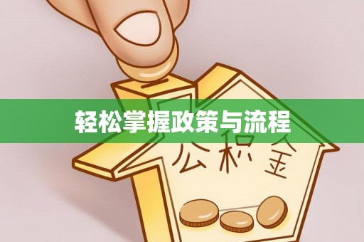 新平轻松掌握政策与流程