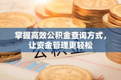 新平掌握高效公积金查询方式，让资金管理更轻松
