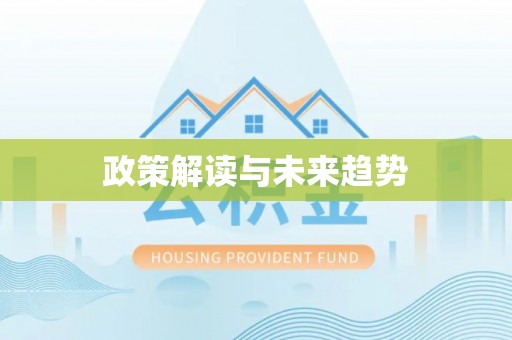 新平政策解读与未来趋势