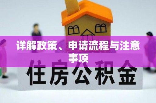 新平详解政策、申请流程与注意事项