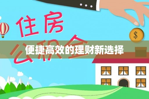 新平便捷高效的理财新选择