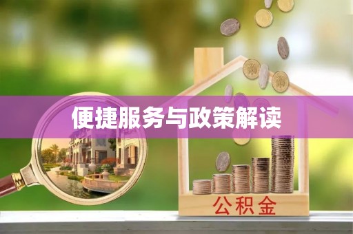 新平便捷服务与政策解读