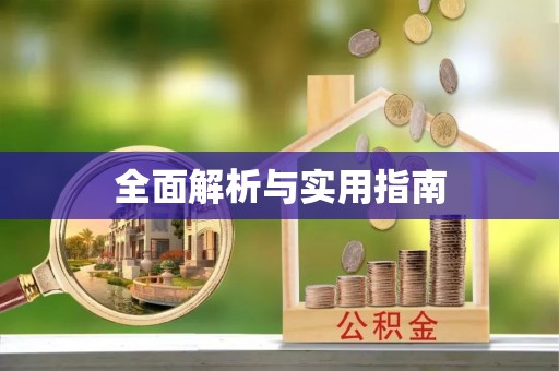 新平全面解析与实用指南